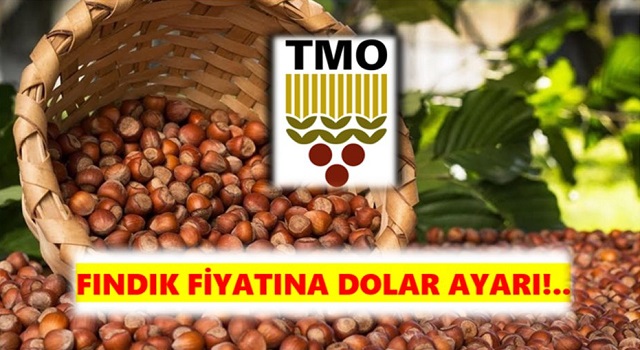 Fındık Fiyatına Dolar Ayarı