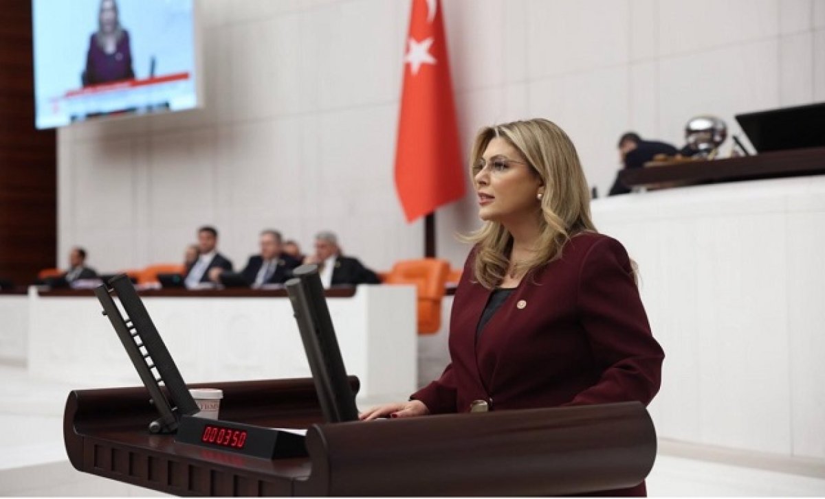 Milletvekili Elvan Işık Gezmiş: “Bütçe Maratonu”nu Değerlendi!